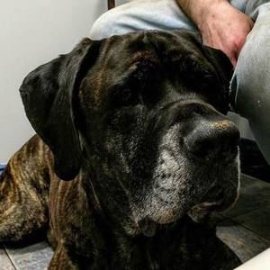 Meet your Posher, Jimmy